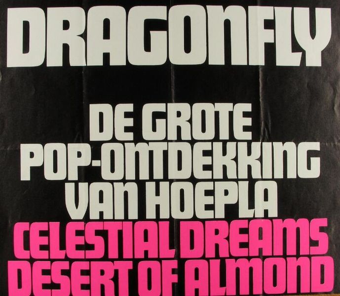 Bestand:Dragonfly (Beeldbank Zeeland, nr. 23609 - ZB).jpg
