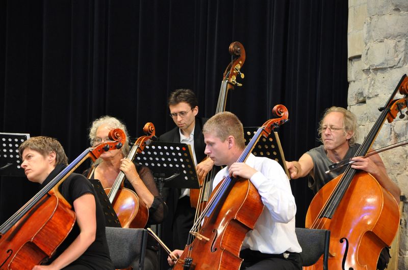 Bestand:Het Zeeuws Orkest (foto Els Millenaar).jpg