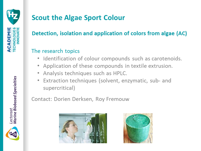 MBBS Scout the Algae Sport Colour.png